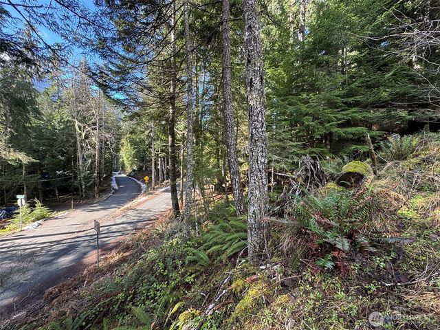 9999 Lake Dawn Road, Port Angeles, WA 98362