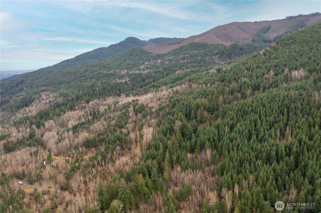 5372 Salmon Ridge Lane, Deming, WA 98247