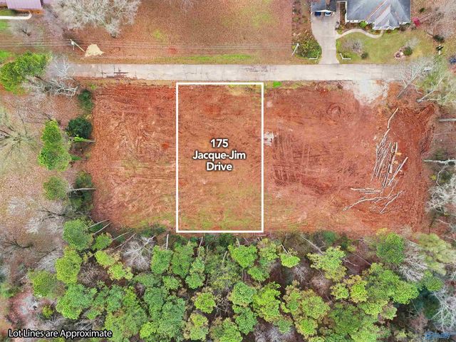 175 Jacque Jim Drive, Huntsville, AL 35811