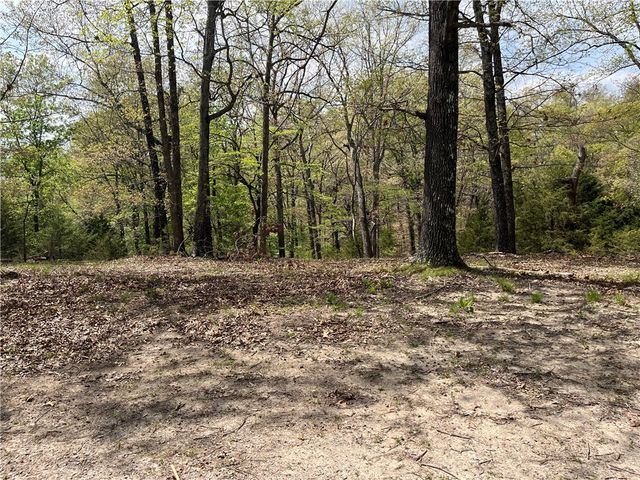 TBD 1 Cobbleston Lane, Eureka Springs, AR 72631