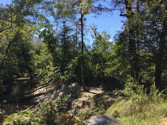 Highway 463, Leesville, LA 71446