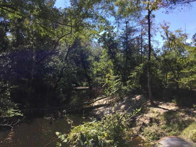 Highway 463, Leesville, LA 71446