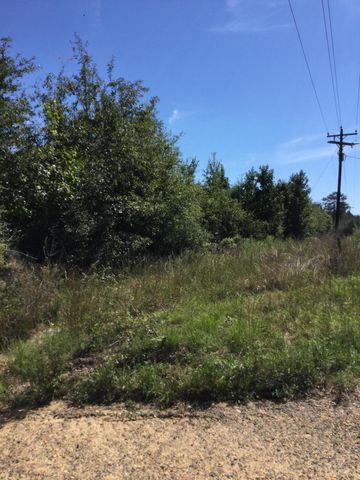 Highway 463, Leesville, LA 71446