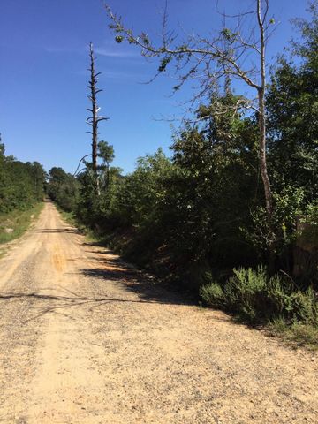 Highway 463, Leesville, LA 71446