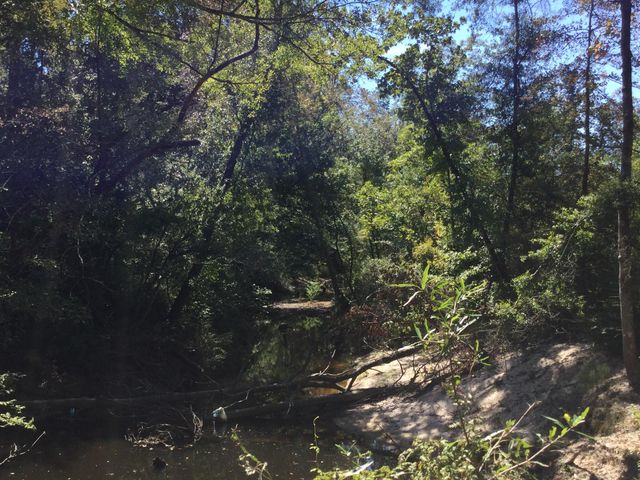 Highway 463, Leesville, LA 71446