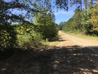 Highway 463, Leesville, LA 71446