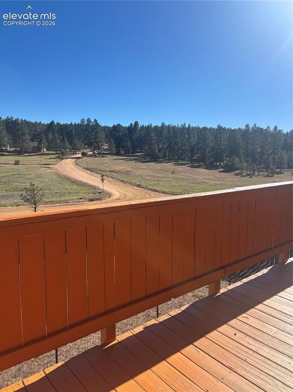 777 Wilson Drive, Florissant, CO 80816 — photo 2