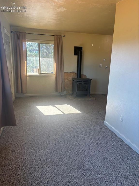 777 Wilson Drive, Florissant, CO 80816 — photo 4