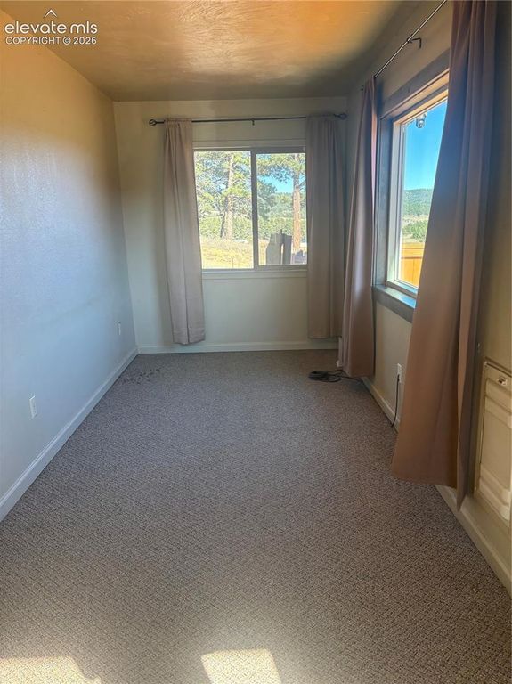 777 Wilson Drive, Florissant, CO 80816 — photo 5
