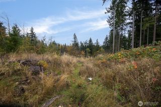 0 XX 184th Avenue E, Bonney Lake, WA 98391