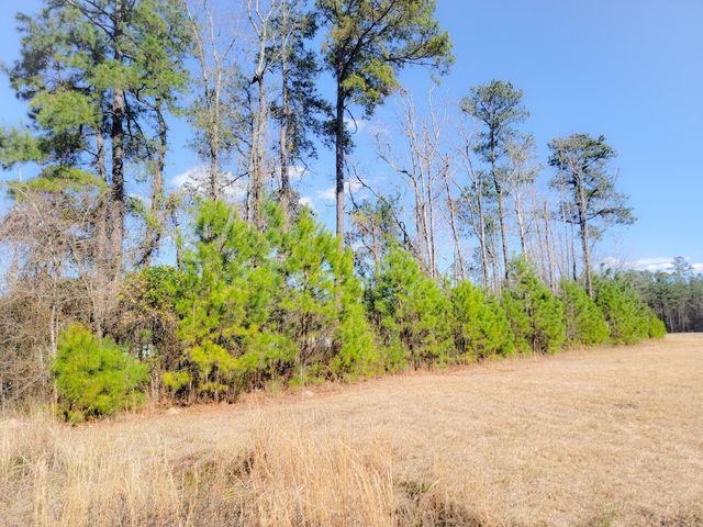 1374 Jedburg Road, Summerville, SC 29486