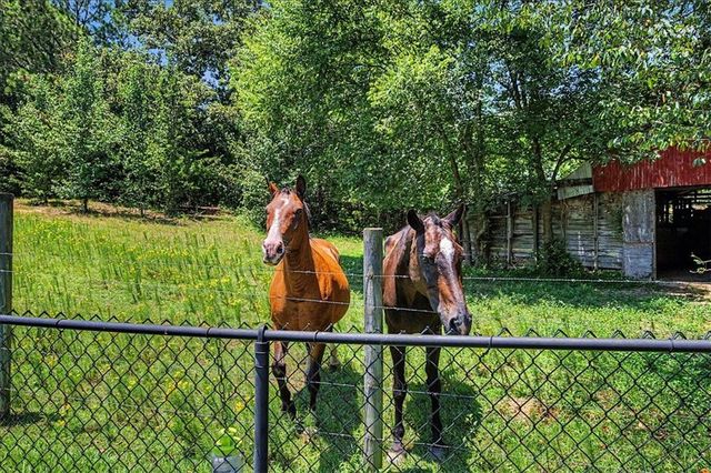 1334 Euharlee Road, Euharlee, GA 30120