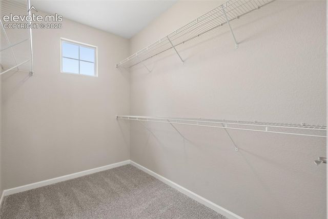 8435 Grand Peak Summit View, Colorado Springs, CO 80920