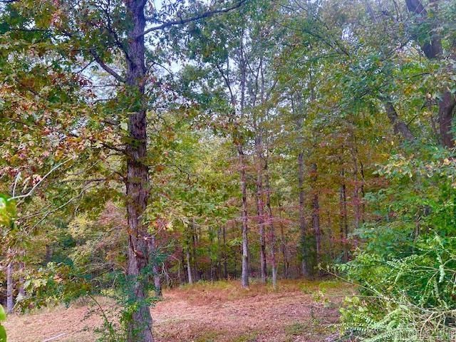 814 Herpel Road, Mountain View, AR 72560