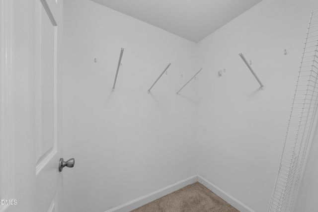 872 Lochmaben Street, Wake Forest, NC 27587