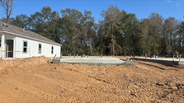 20895 Wildbird Cherry Lane, Porter, TX 77365