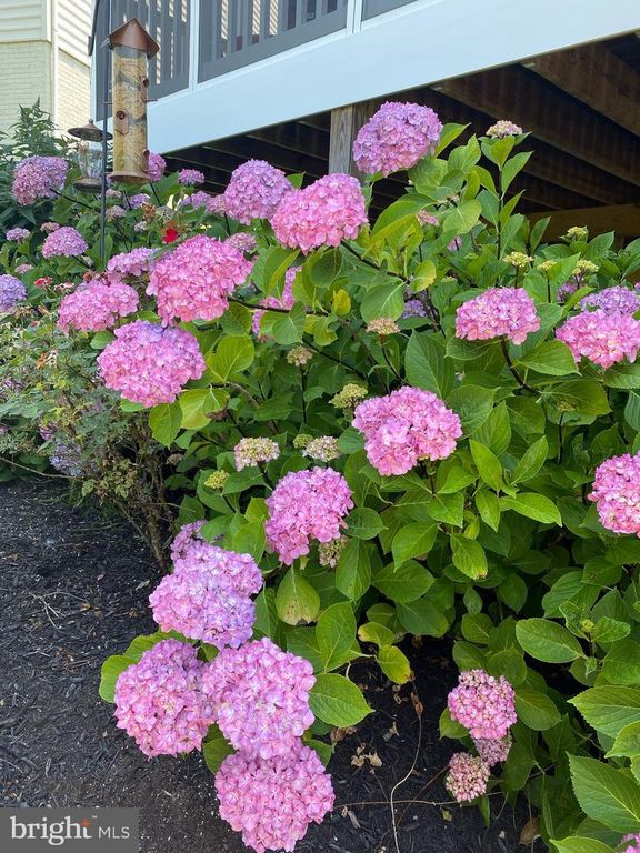 Image 66 of property listing at 306 GRINDSTONE DR, Arnold, MD 21012