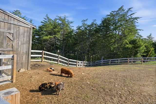 244 Jolene Way, Sevierville, TN 37876