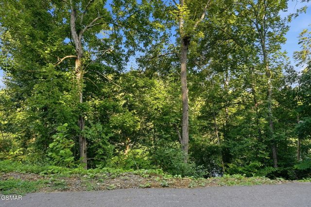 244 Jolene Way, Sevierville, TN 37876