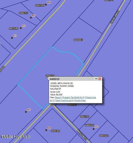 Tbd Halifax Street, Enfield, NC 27823
