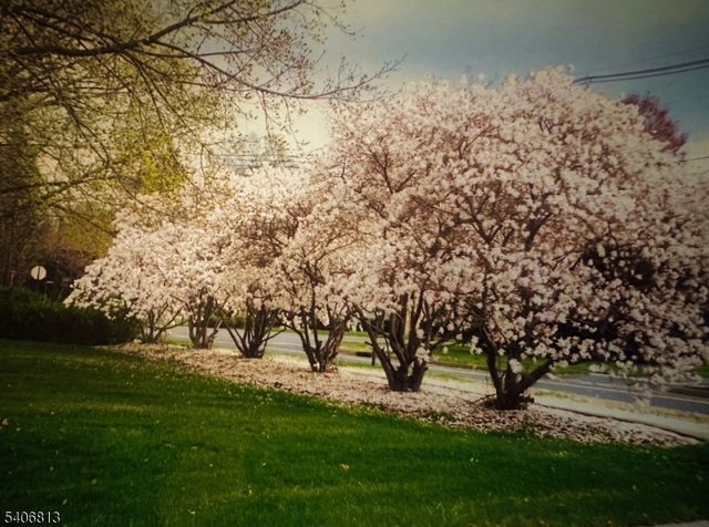 4 Highfield Ct, Wayne Twp., NJ 07470