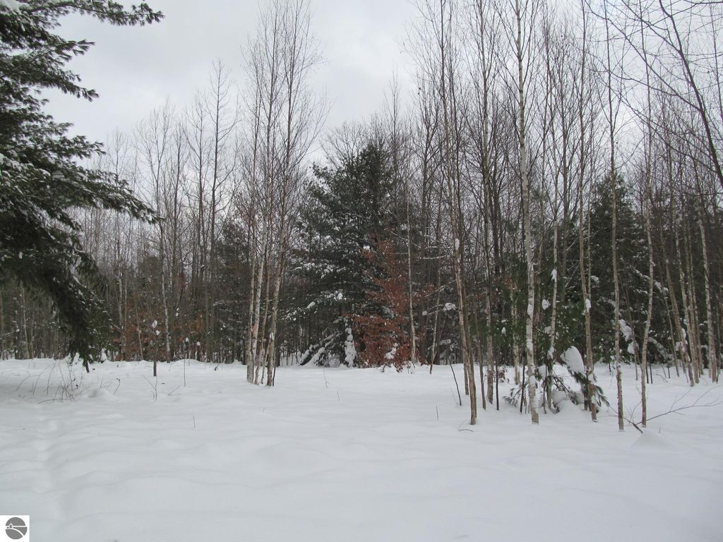 Image 1 of property listing at Corner 13th Street, Cadillac, MI 49601