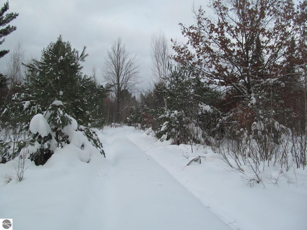 Image 10 of property listing at Corner 13th Street, Cadillac, MI 49601