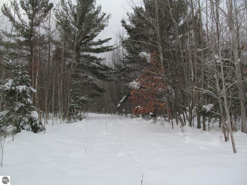 Image 13 of property listing at Corner 13th Street, Cadillac, MI 49601