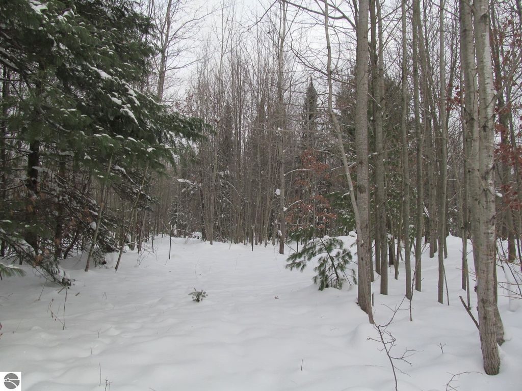 Image 14 of property listing at Corner 13th Street, Cadillac, MI 49601