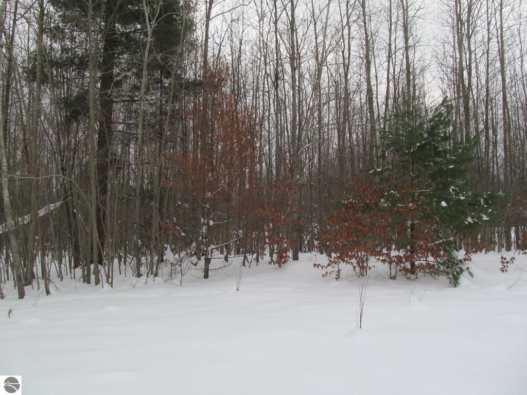 Image 15 of property listing at Corner 13th Street, Cadillac, MI 49601