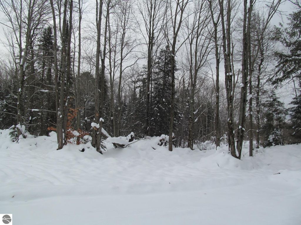 Image 2 of property listing at Corner 13th Street, Cadillac, MI 49601