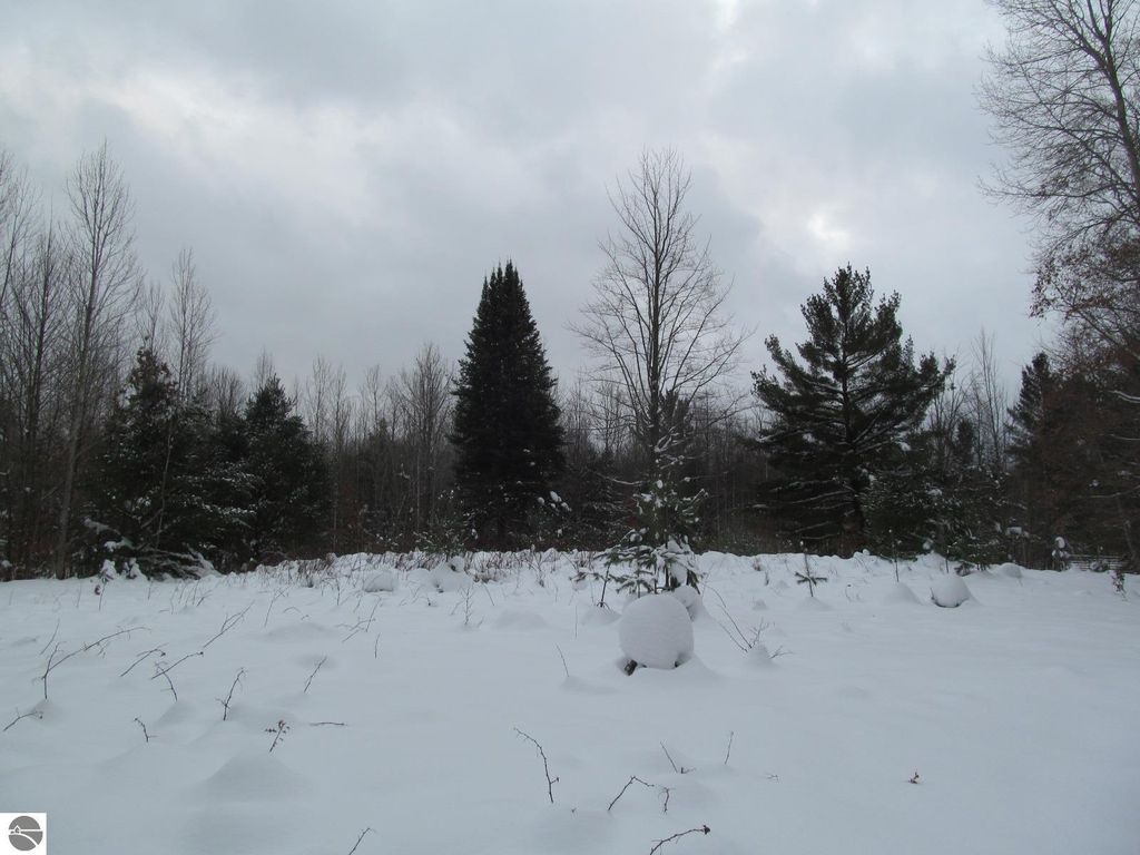 Image 20 of property listing at Corner 13th Street, Cadillac, MI 49601