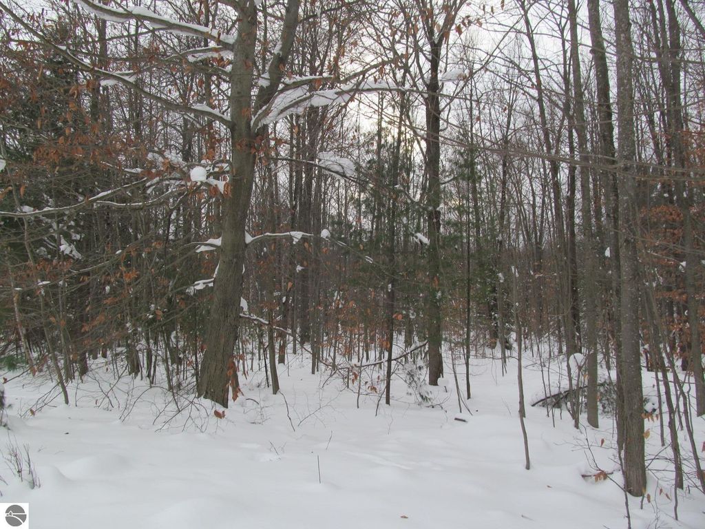 Image 21 of property listing at Corner 13th Street, Cadillac, MI 49601