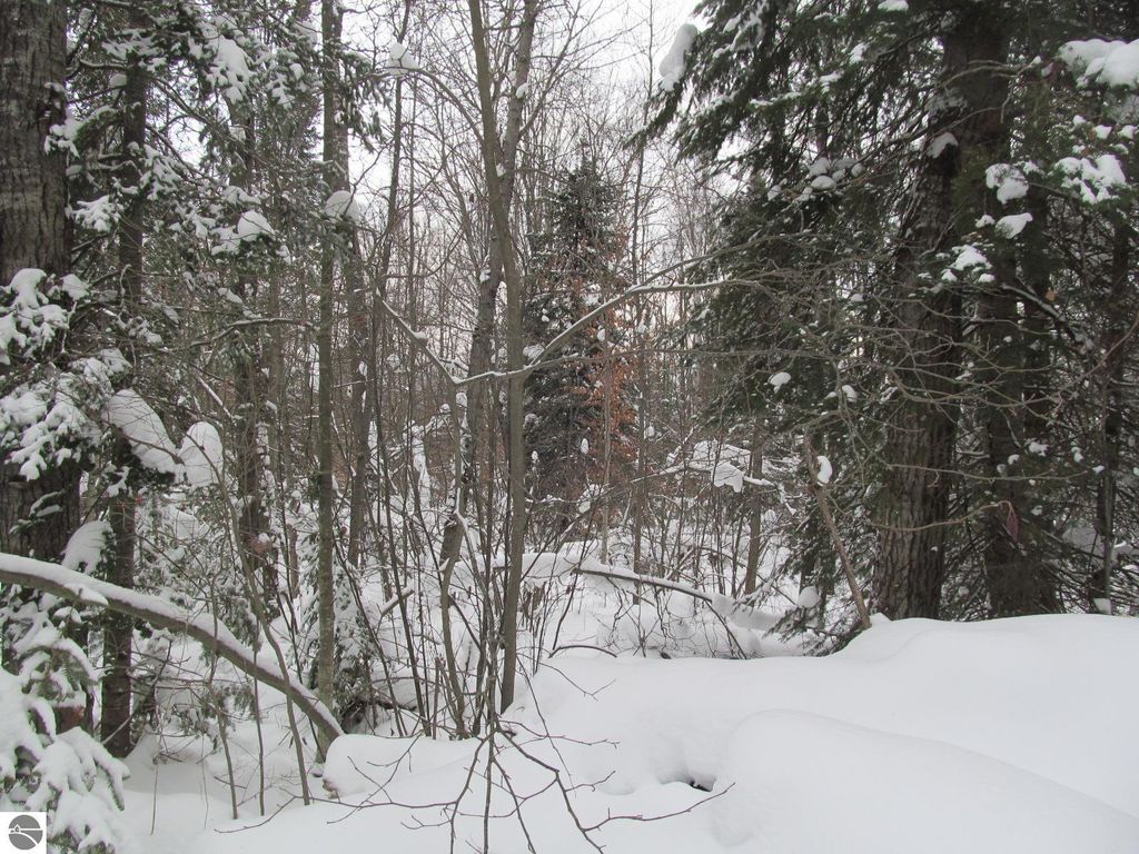 Image 3 of property listing at Corner 13th Street, Cadillac, MI 49601