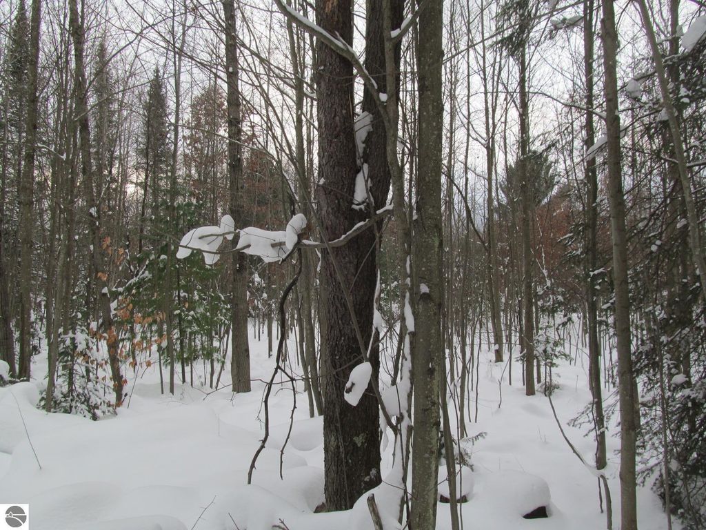 Image 5 of property listing at Corner 13th Street, Cadillac, MI 49601