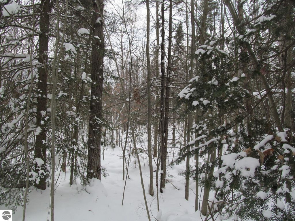 Image 6 of property listing at Corner 13th Street, Cadillac, MI 49601