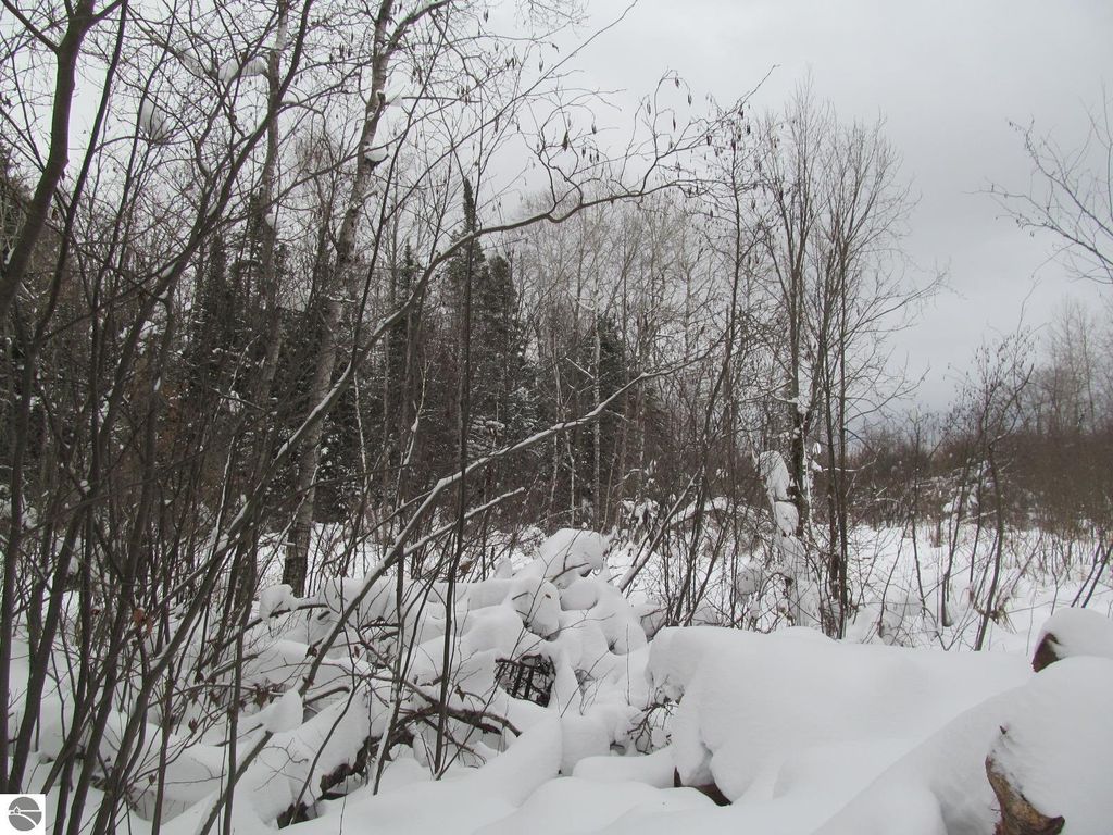 Image 7 of property listing at Corner 13th Street, Cadillac, MI 49601