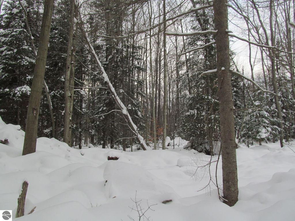 Image 8 of property listing at Corner 13th Street, Cadillac, MI 49601