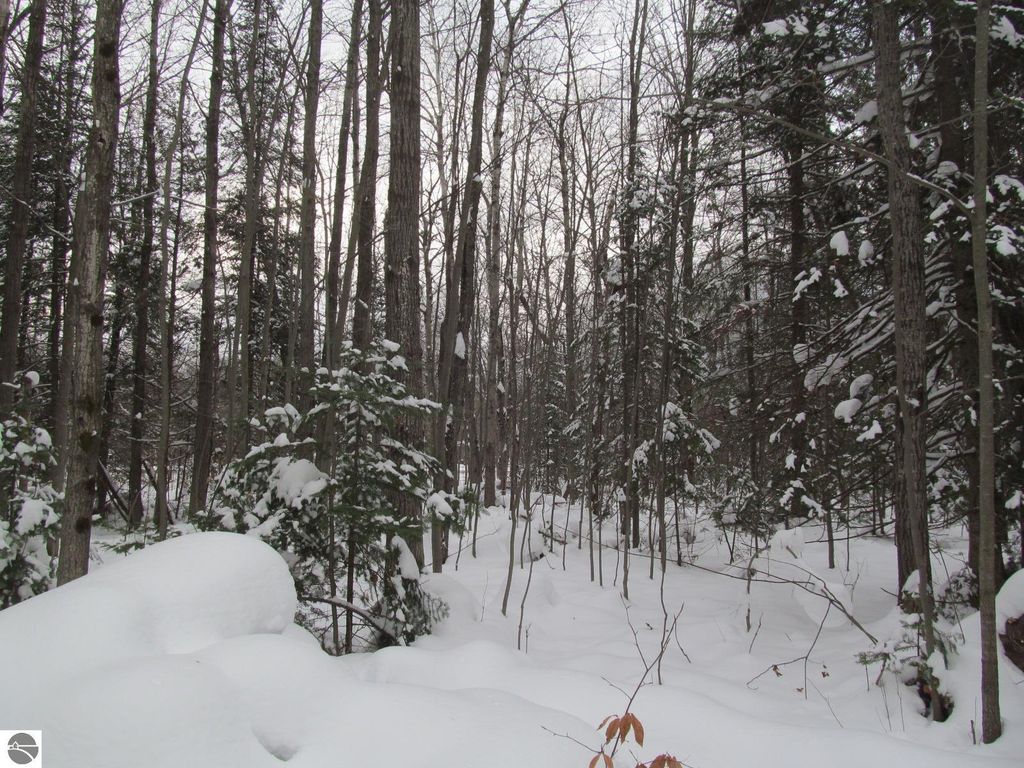 Image 9 of property listing at Corner 13th Street, Cadillac, MI 49601