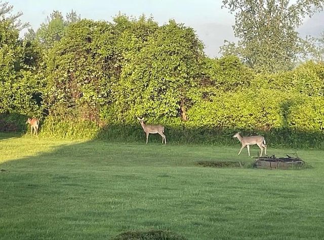 8433 Rolling, Grant, MI 49327