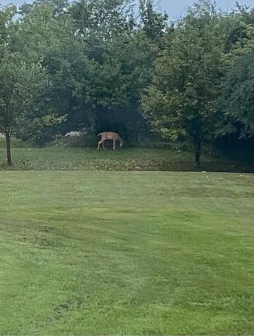 8433 Rolling, Grant, MI 49327