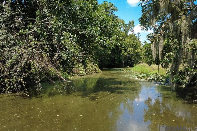 32474 Carolyn Dr, Paulina, LA 70763