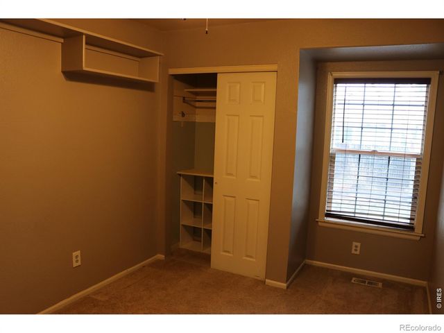 1005 Glacier Court, Windsor, CO 80550