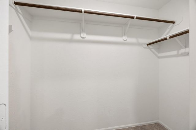 3034 Twisted Myrtle Drive, Conroe, TX 77301