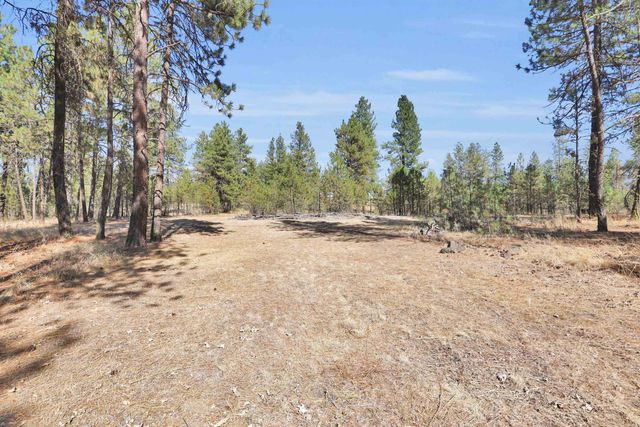 16619 S Sherman Rd, Cheney, WA 99004