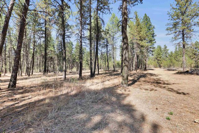 16619 S Sherman Rd, Cheney, WA 99004