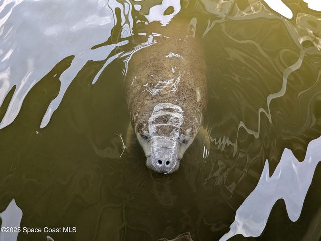 456 Carmine Drive, Cocoa Beach, FL 32931