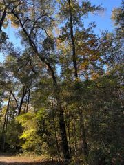 xxx Bluebird Lane, Crawfordville, FL 32327