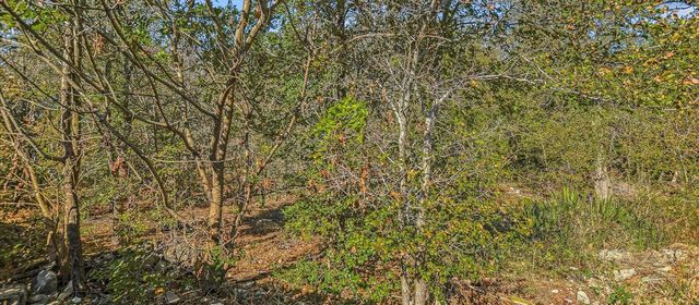 3908 Holt DR, Austin, TX 78749