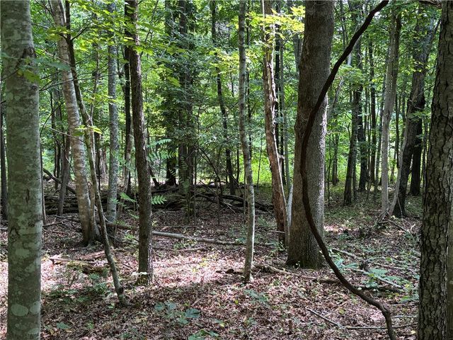 TBD W Tanyard Hollow Road, Bentonville, AR 72712